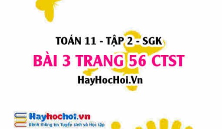 Bài 3 trang 56 Toán 11 tập 2 Chân trời sáng tạo